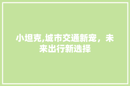 小坦克,城市交通新宠，未来出行新选择