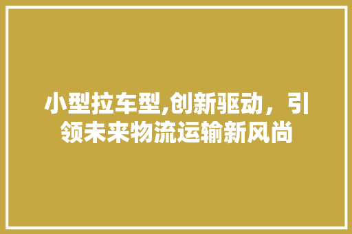 小型拉车型,创新驱动，引领未来物流运输新风尚