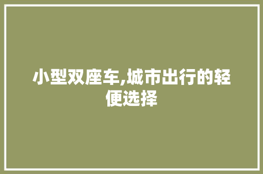 小型双座车,城市出行的轻便选择