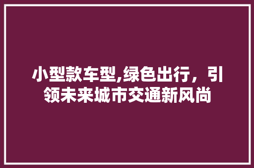 小型款车型,绿色出行，引领未来城市交通新风尚
