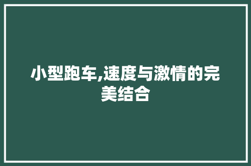 小型跑车,速度与激情的完美结合