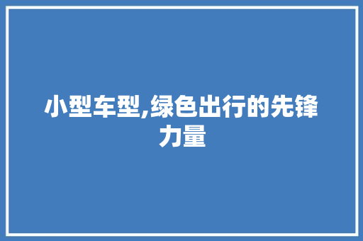小型车型,绿色出行的先锋力量