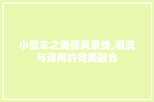 小型车之美丽风景线,潮流与适用的完美融合