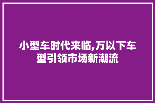 小型车时代来临,万以下车型引领市场新潮流