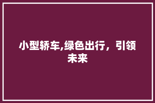 小型轿车,绿色出行，引领未来
