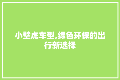 小壁虎车型,绿色环保的出行新选择