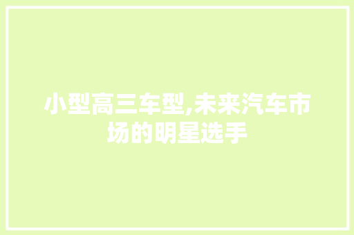 小型高三车型,未来汽车市场的明星选手