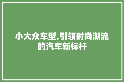 小大众车型,引领时尚潮流的汽车新标杆