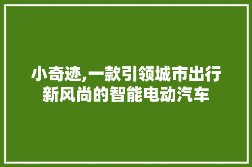 小奇迹,一款引领城市出行新风尚的智能电动汽车