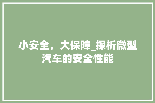 小安全，大保障_探析微型汽车的安全性能