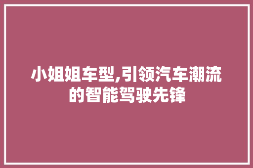 小姐姐车型,引领汽车潮流的智能驾驶先锋
