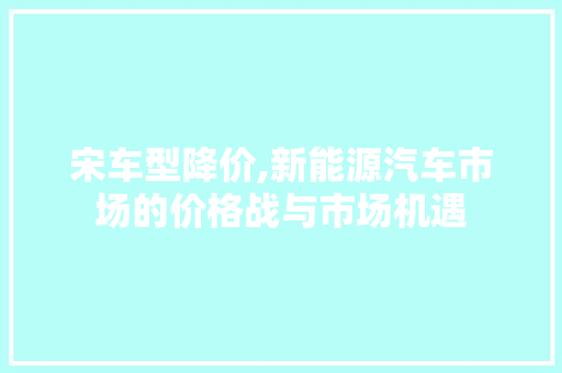 宋车型降价,新能源汽车市场的价格战与市场机遇