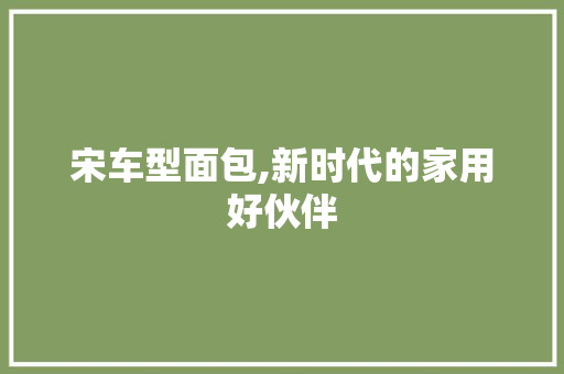 宋车型面包,新时代的家用好伙伴