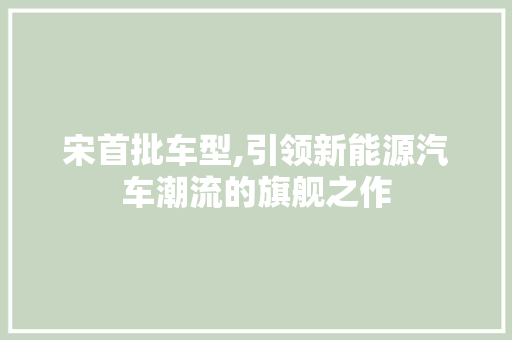 宋首批车型,引领新能源汽车潮流的旗舰之作