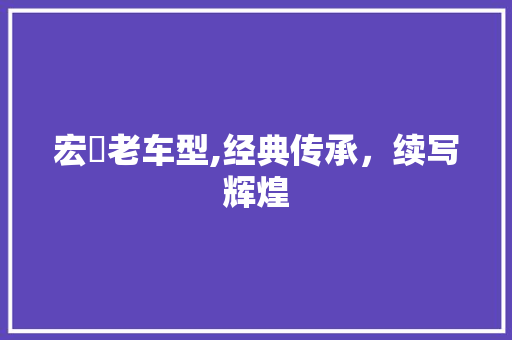 宏碁老车型,经典传承，续写辉煌