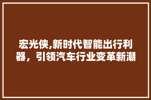 宏光侠,新时代智能出行利器，引领汽车行业变革新潮流