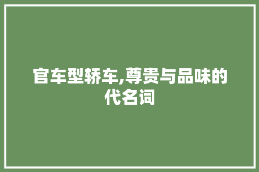 官车型轿车,尊贵与品味的代名词