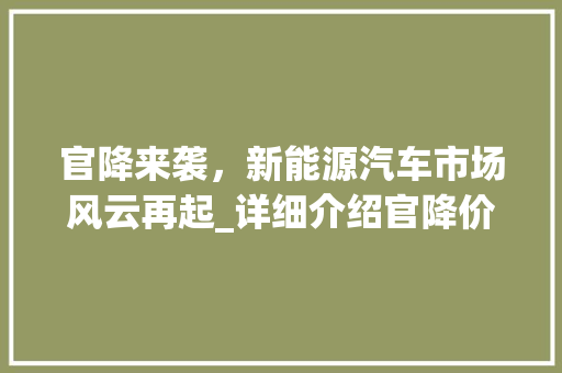 官降来袭，新能源汽车市场风云再起_详细介绍官降价车型背后的变革力量
