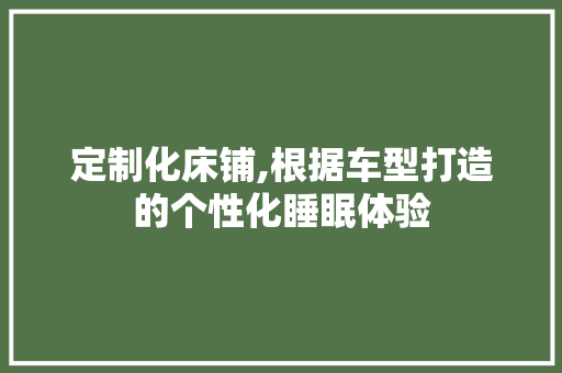 定制化床铺,根据车型打造的个性化睡眠体验