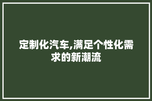 定制化汽车,满足个性化需求的新潮流