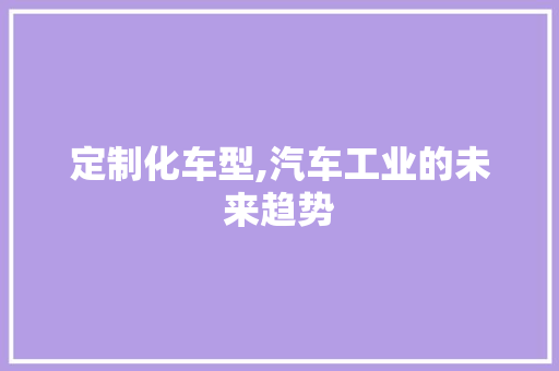 定制化车型,汽车工业的未来趋势