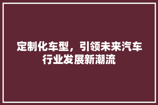 定制化车型，引领未来汽车行业发展新潮流