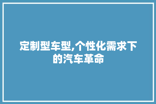 定制型车型,个性化需求下的汽车革命