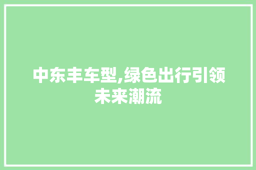 中东丰车型,绿色出行引领未来潮流