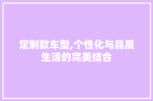 定制款车型,个性化与品质生活的完美结合