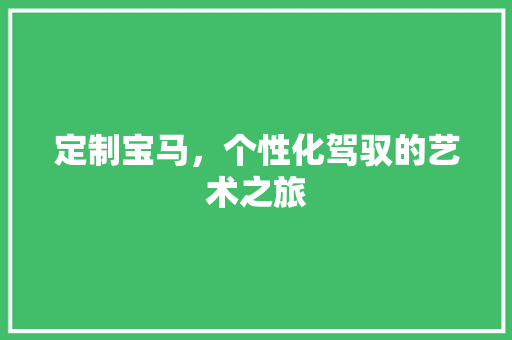 定制宝马，个性化驾驭的艺术之旅