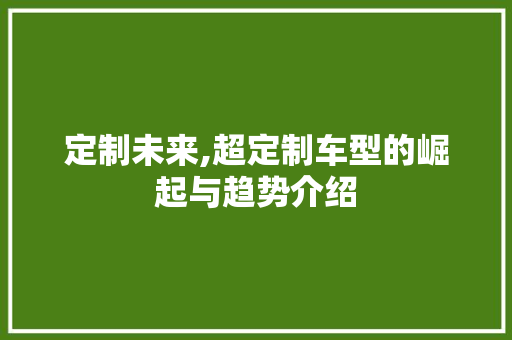 定制未来,超定制车型的崛起与趋势介绍