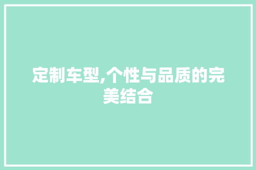 定制车型,个性与品质的完美结合