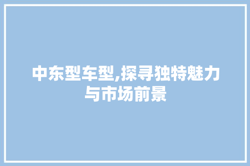 中东型车型,探寻独特魅力与市场前景 蓄电池配件
