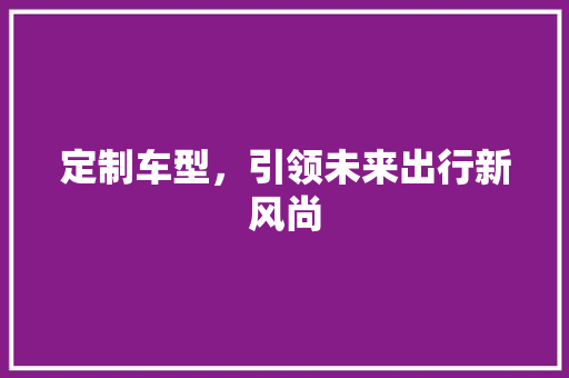 定制车型，引领未来出行新风尚