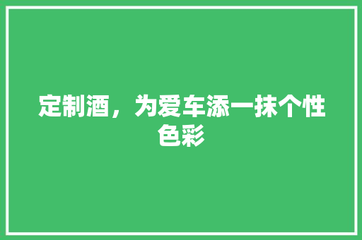 定制酒，为爱车添一抹个性色彩