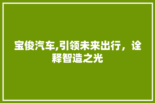 宝俊汽车,引领未来出行，诠释智造之光