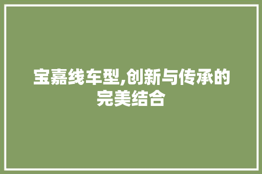 宝嘉线车型,创新与传承的完美结合