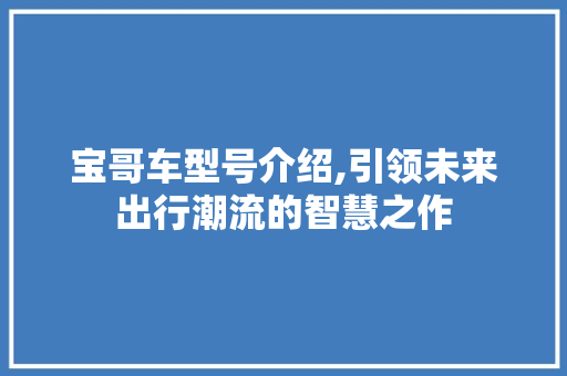 宝哥车型号介绍,引领未来出行潮流的智慧之作