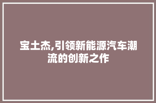 宝土杰,引领新能源汽车潮流的创新之作
