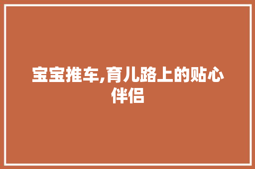 宝宝推车,育儿路上的贴心伴侣