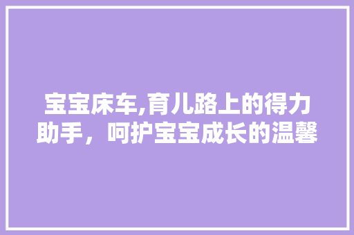 宝宝床车,育儿路上的得力助手，呵护宝宝成长的温馨港湾