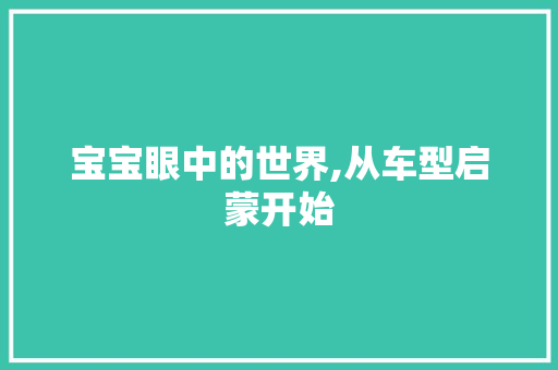 宝宝眼中的世界,从车型启蒙开始
