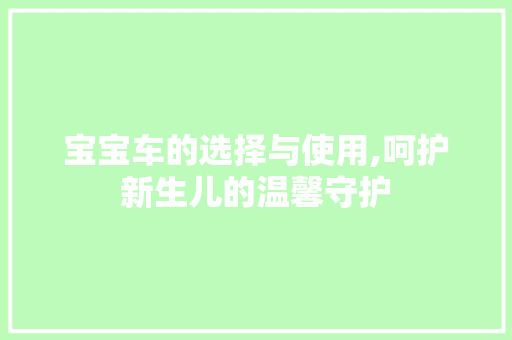 宝宝车的选择与使用,呵护新生儿的温馨守护