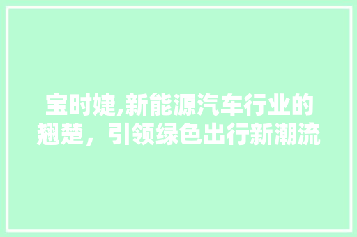 宝时婕,新能源汽车行业的翘楚，引领绿色出行新潮流