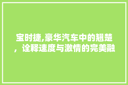 宝时捷,豪华汽车中的翘楚，诠释速度与激情的完美融合