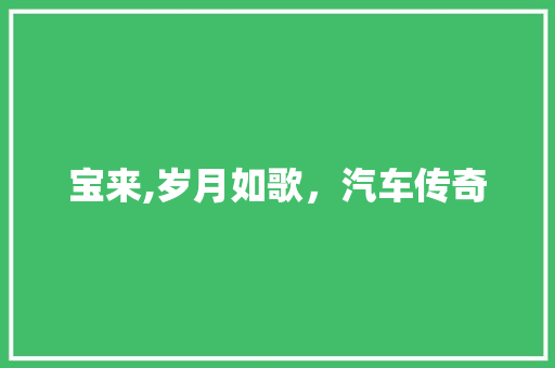 宝来,岁月如歌，汽车传奇