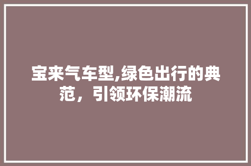 宝来气车型,绿色出行的典范，引领环保潮流