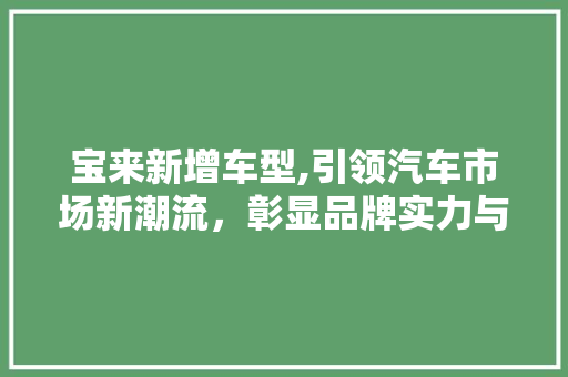 宝来新增车型,引领汽车市场新潮流，彰显品牌实力与创新精神