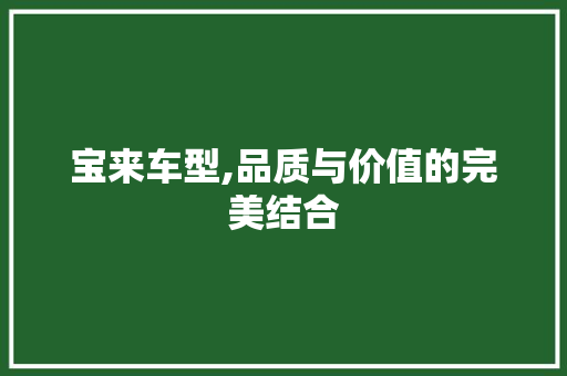 宝来车型,品质与价值的完美结合
