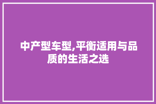 中产型车型,平衡适用与品质的生活之选 汽车配件